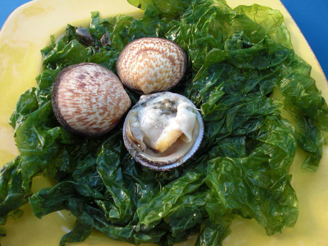 Livraison à domicile sur Marseille  de votre plateaux de coquillages