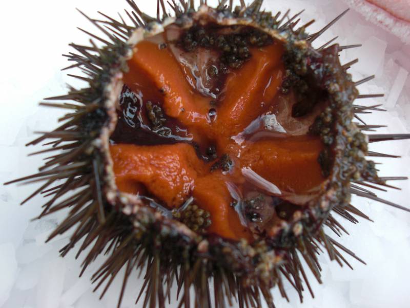 Livraison de plateau de coquillages sur Marseille