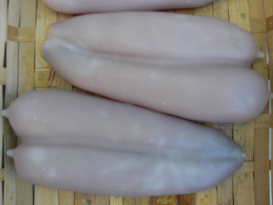 Livraison de plateaux de coquillages sur Marseille