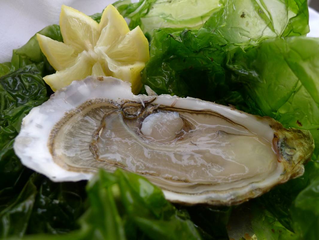 Plateaux de fruits de mer à la carte sur Marseille