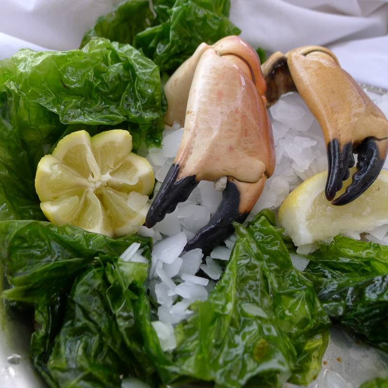 Livraison de plateaux de fruits de ler sur Marseille  13007