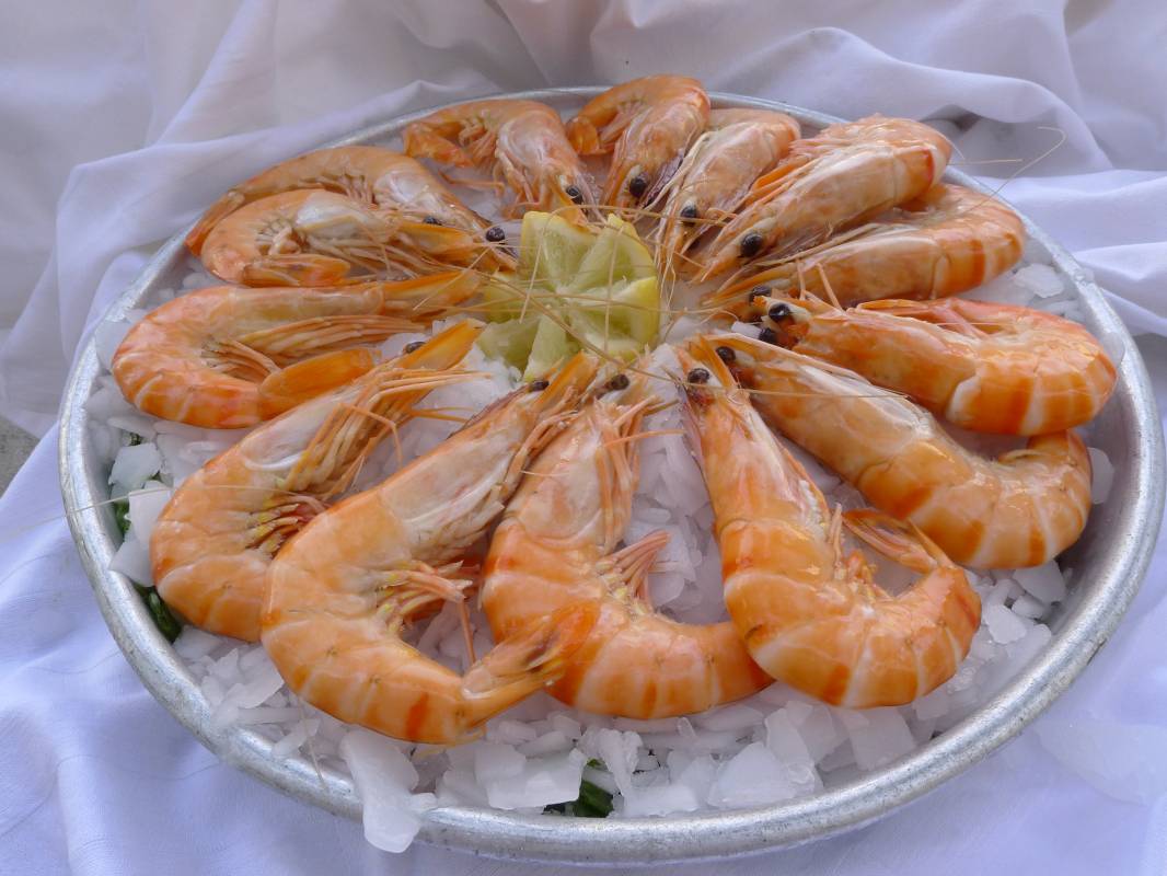 Plateaux de coquillages à emporter sur Marseille