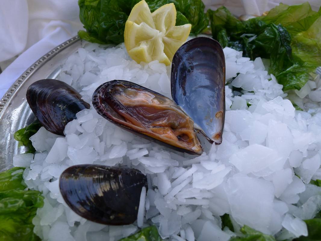 Livraison de vos plateaux de coquillages sur Marseille