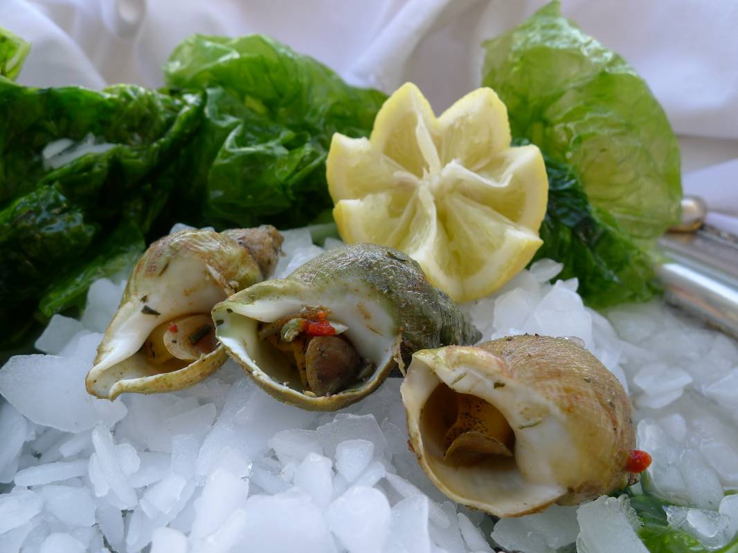 Livraison de plateaux de coquillages et fruits de mer sur Marseille