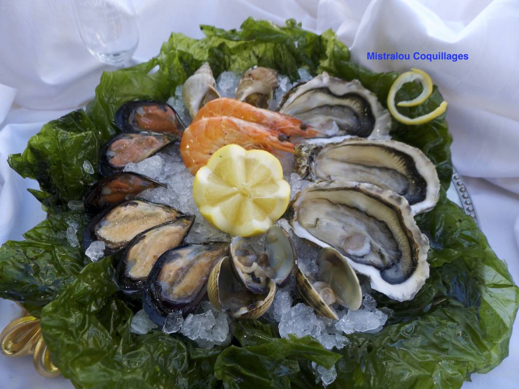 Plateaux de coquillages découverte de la région