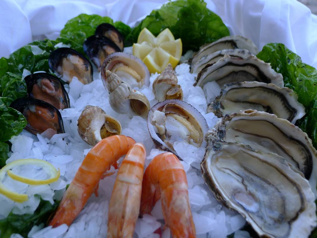 Profitez pleinement avec le Mistralou Coquillages sur Marseille d'un plateau de coquillages en mer