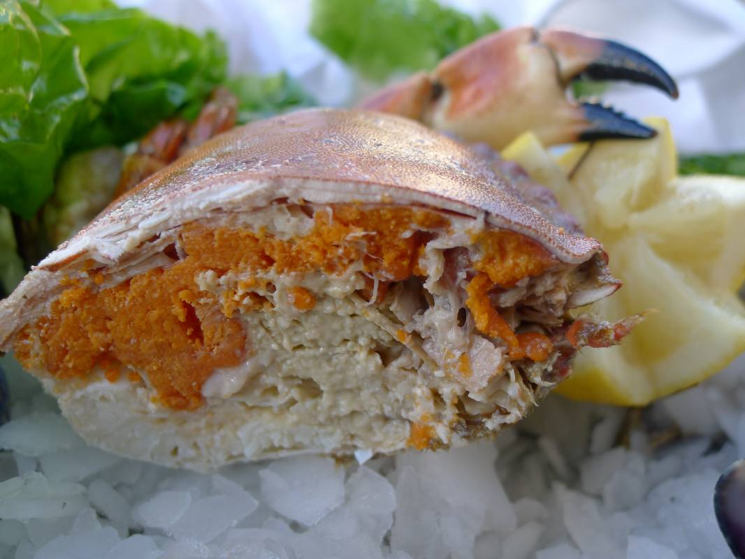 Plateaux de coquillages et crustacés à emporter ou livré