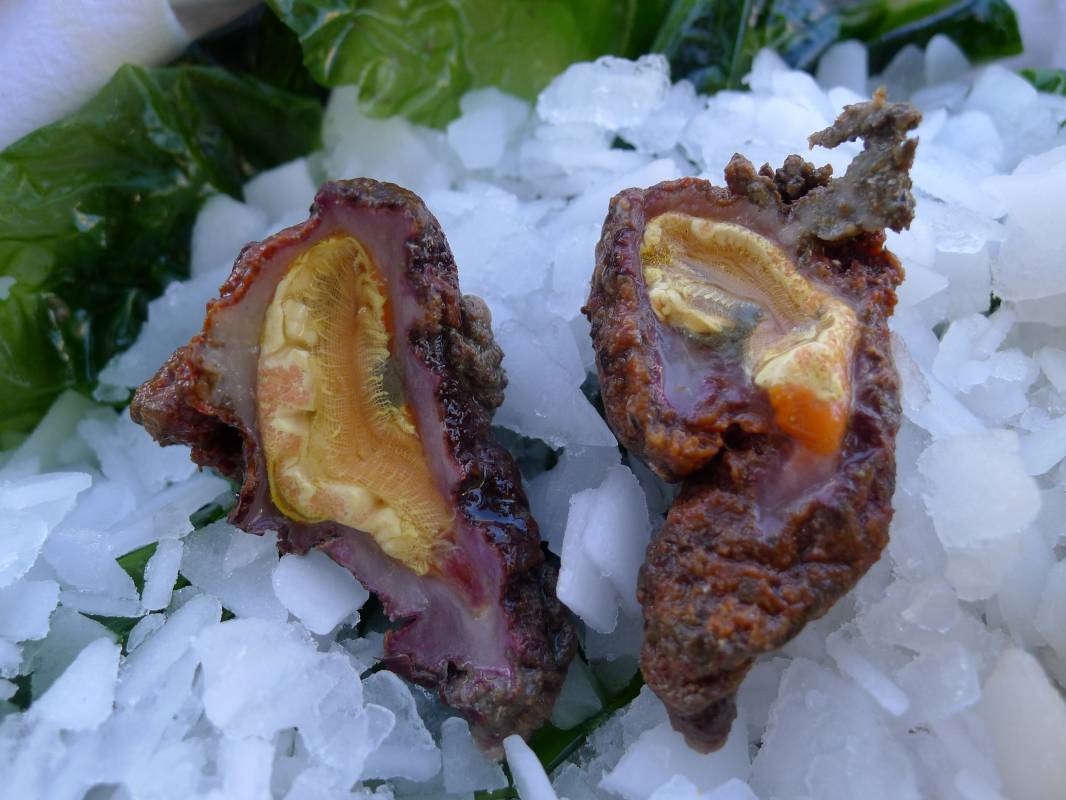 Livraison de plateaux de fruits de mer sur Marseille