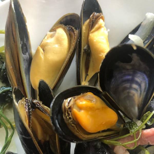 Plateau de coquillages sur Marseille